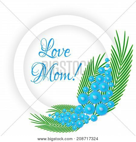 Vector element of blue fluffy mimosa tree brunh for Mother day or Woman celebration day greeting card or poster.
