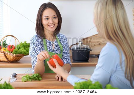 Two young happy woman making cooking in the kitchen. Friendship and culinary concept.