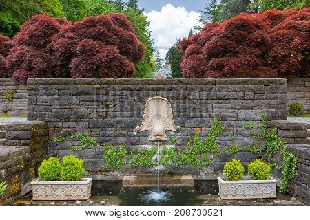 Dolphin head on rock stone wall water fountain with large red maple trees and plants in Renaissance Garden