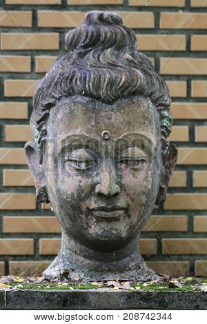 400 years old of ancient head stone buddha statue in the forest at historical museum Thailand, art crafting sculpture, head, face, lobe, ear, hair, nose