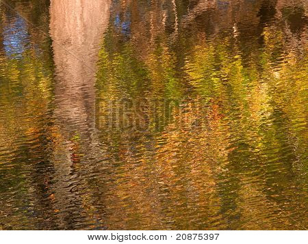 Reflets de couleur automne