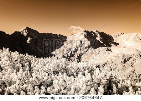 Mountain Panorama View From Volovec In Slovakia