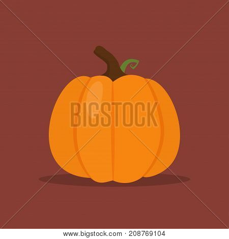 Orange pumpkin vector illustration. Autumn halloween pumpkin vegetable graphic icon or print