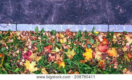 Curb on the road in the fall in the city a lot of yellow and green foliage and grass. Pure asphalt for writing text. The background is a concrete road. Autumn mood.