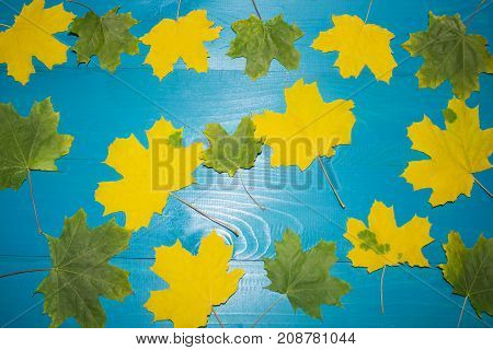 Beautiful maple leaves on vintage wooden background border design. vintage color tone - concept of autumn leaves in fall season background. autumn, yellow leaves