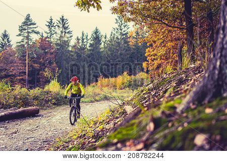 Mountain biker riding on bike in autumn or winter inspirational forest landscape. Man cycling MTB on dirty road in woods. Sport and active recreation fitness motivation and inspiration.