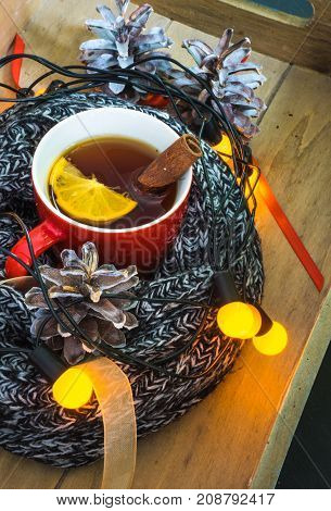 Christmas Festive Concept
