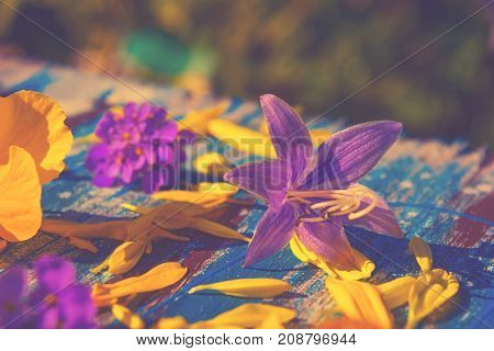 multicolor flowers on an abstract wooden background