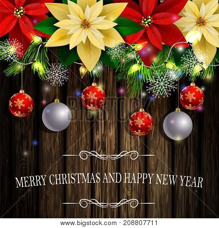 Christmas decoration and greeting card with evergreen trees with poinsettia christmas balls isolated on wooden wall with lights