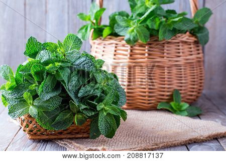 Fresh mint leaves on wooden background with copyspace