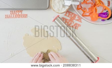 Halloween Sugar Cookies