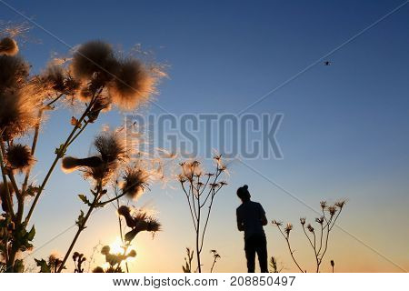 Silhouette of a man flying a remote control drone in the sunset behind wild thorn weeds