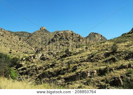 View going up Mount Lemmon in Tucson, Arizona, USA in the Santa Catalina Mountains located in the Coronado National Forest with blue sky copy space.