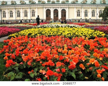 Towarzystwa w Moskwie