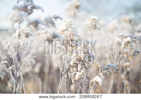 Ice cold fields in the winter in middle europa