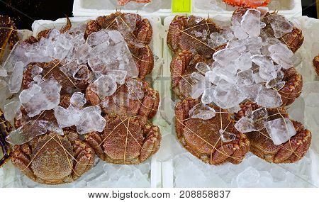 Crab At Asaichi Market In Hakodate, Japan