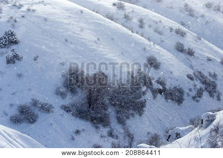 snowy slopes of the Tien Shan Mountains