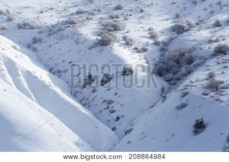 snowy slopes of the Tien Shan Mountains