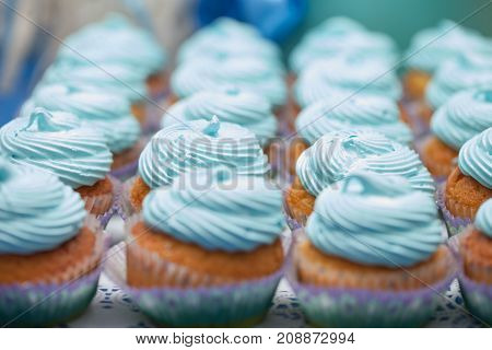 Closeup Of Blue Cupcakes. Selective Focus. Sweet Dessert Tasty Food Concept Muffin Baby Shower Treat