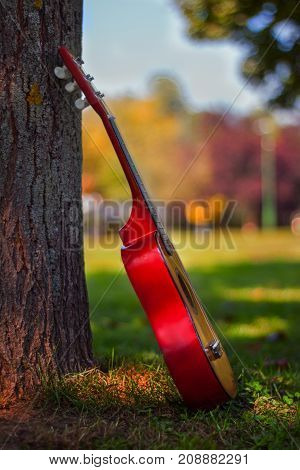 Children acoustic guitar leaned against the tree