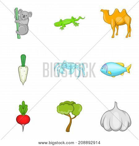 Natural science icons set. Cartoon set of 9 natural science vector icons for web isolated on white background