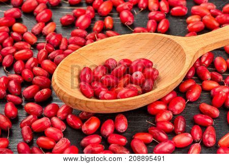 Fresh Barberries