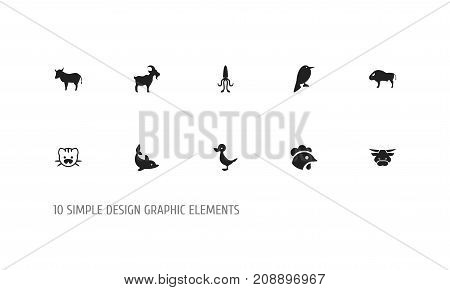 Set Of 10 Editable Zoology Icons. Includes Symbols Such As Rooster, Beast, Quack And More