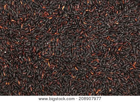 Black Purple Raw Rice Close Up Background