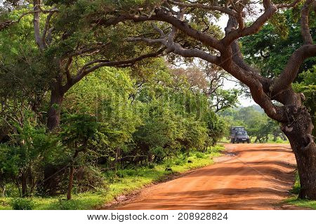 Scenic view of tropical dry forest and road with blurred safari vehicle in Yala National Park, Sri Lanka