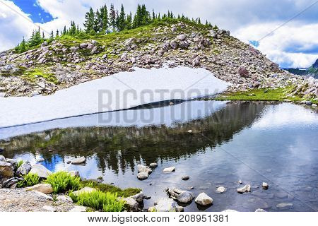 Hiker Pool Reflection Summer Artist Point Mount Baker Highway Pacific Northwest Washington State Snow Mountain Grass Trees