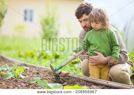 Father and child cutivating ground in garden bad in spring. Family having fun. Active leisure.