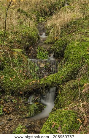 Small forest creek near Roprachtice village in north Bohemia