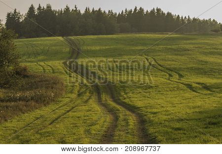 Path and field in color evening in Slavkovsky les national park in autumn time