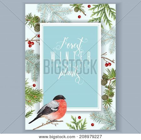 Vector vintage banner with winter forest branches and bullfinch. Highly detailed winter design for greeting card, Christmas party invitation, holiday sales. Can be used for poster, web page, packaging