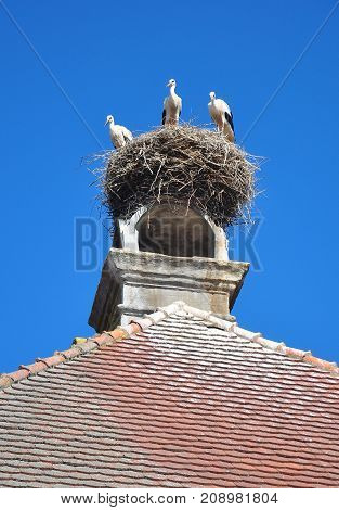 Colorful and crisp image of storks nest in Ornbau Bavaria