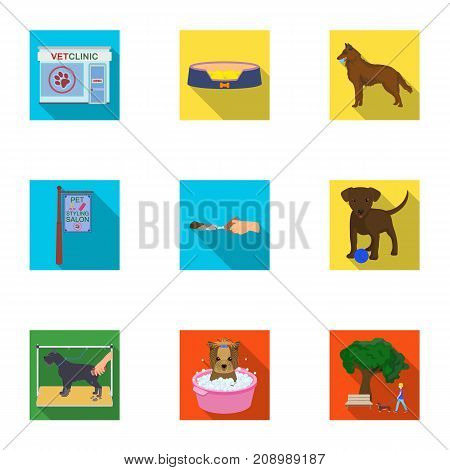 Walking with a dog, a vet clinic, a dog haircut, a puppy bathing, feeding a pet. Vet clinic and pet care set collection icons in flat style vector symbol stock illustration .