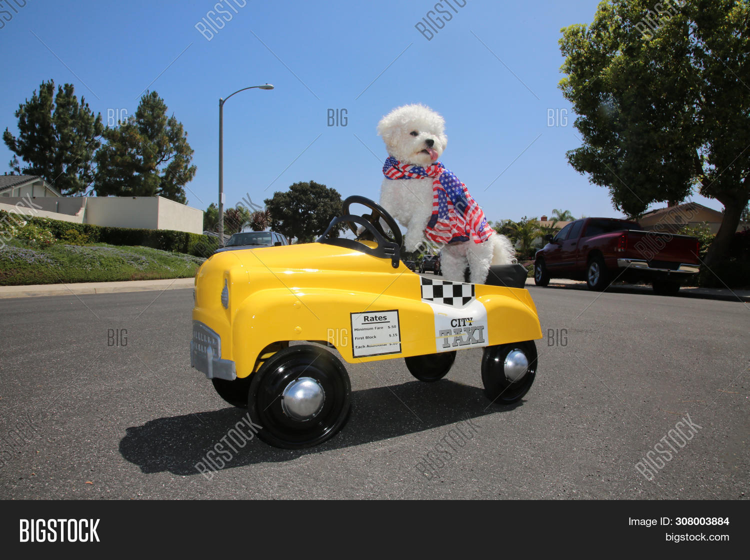 Dog Taxi Pedal Car. Image & Photo (Free Trial) Bigstock