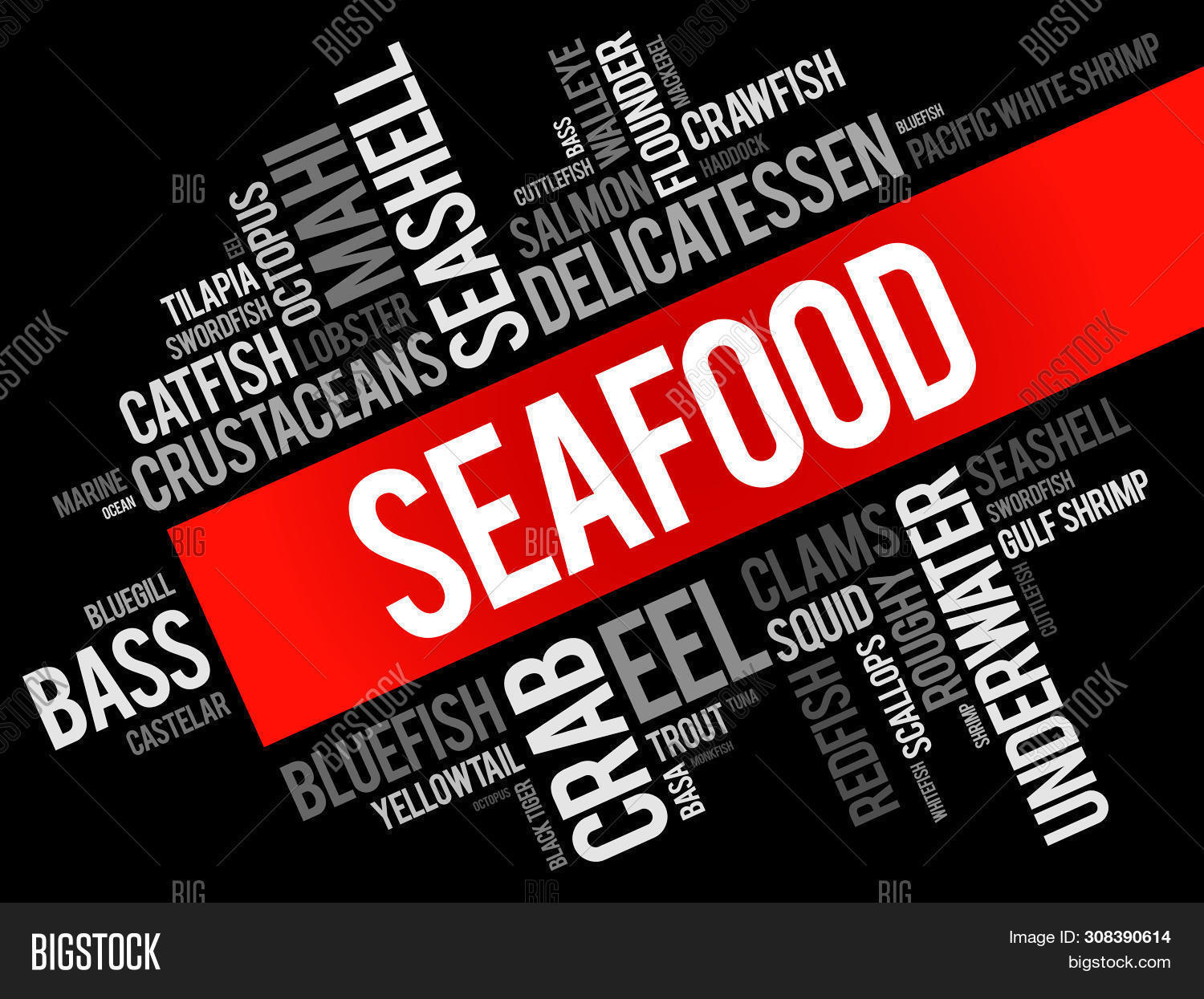Seafood Word Cloud Image & Photo (Free Trial) | Bigstock