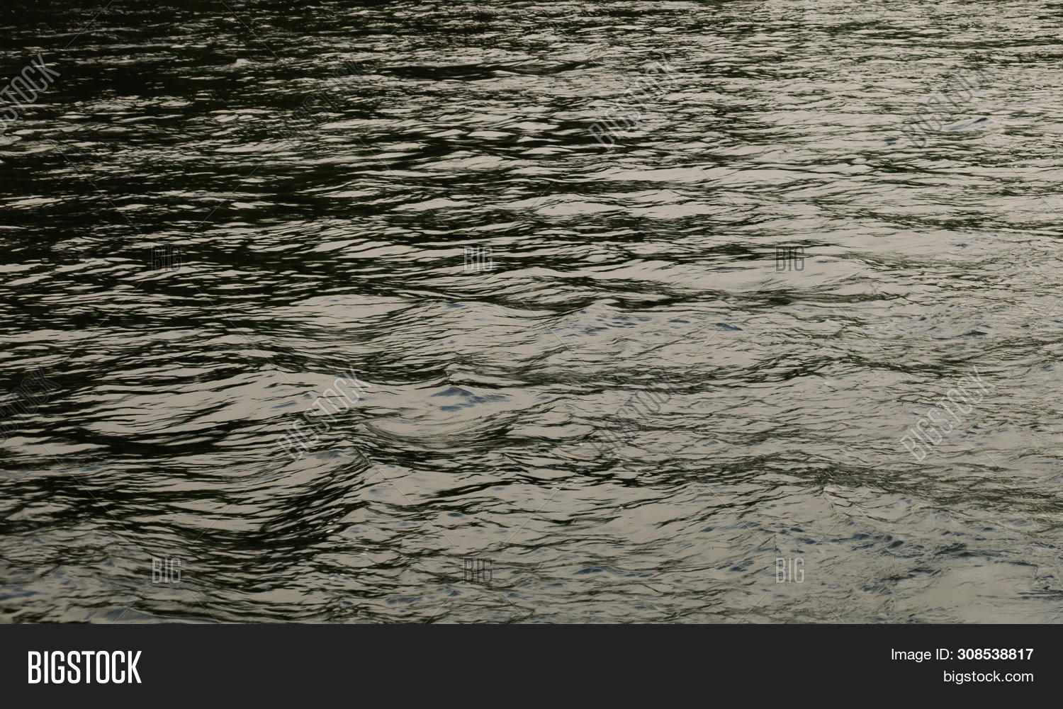 Background Transparent Image & Photo (Free Trial) | Bigstock