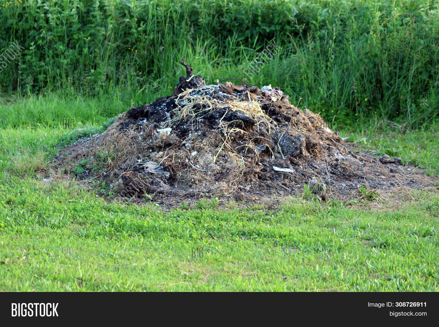 Burned Compost Pile Image & Photo (Free Trial) Bigstock