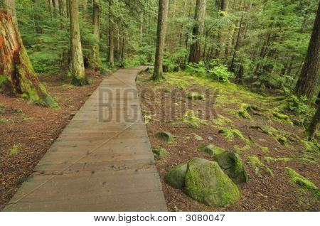 Lynn Valley Les