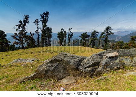 Bugyals, Flat Lands At Upper Himalayas, Uttarakhand, India