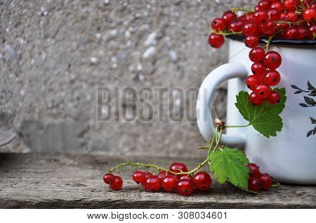 Iron Mug With The Fruits Of Red Currants. Nearby Lies A Bunch Of Currants With A Leaf.
