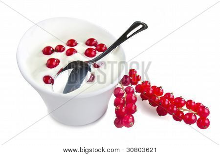 Yogurt