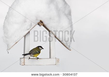 malé parus na feedbox zblízka
