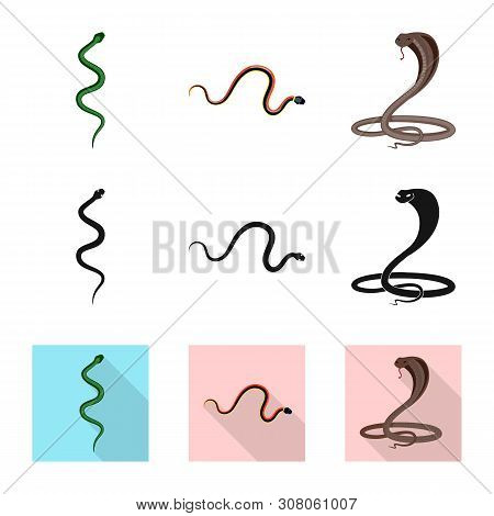 Vector Design Of Mammal And Danger Icon. Collection Of Mammal And Medicine Stock Vector Illustration