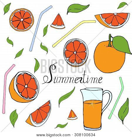 Orange Freshness Vector Illustration  Hand Draw. Celebrate Happy Summer Vector  Illustration. Happy 