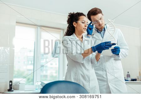Smart Nice Scientists Looking At The Dna Model