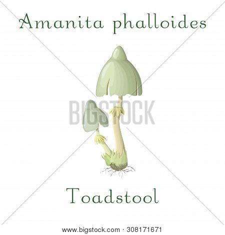 Toadstool Isolated On White Background. Forest Poisonous Mushroom. Toadstool In Cartoon Style. Illus