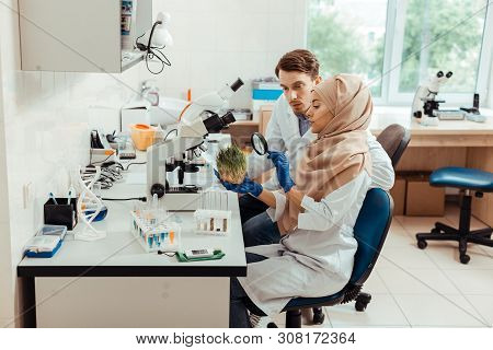 Smart Nice Muslim Woman Studying The Sample